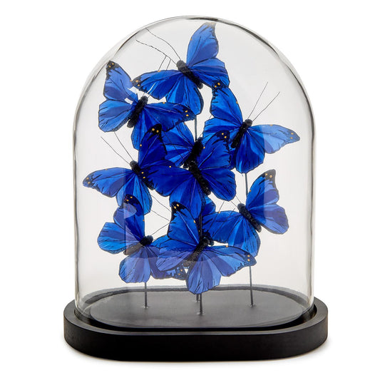 Ultramarine Butterflies in Oval Dome