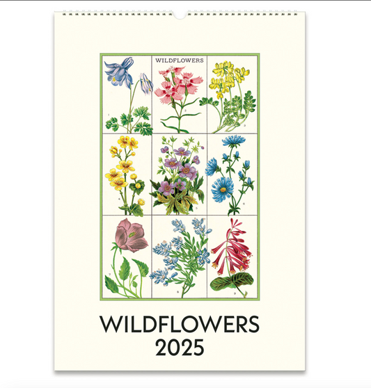 Wildflowers 2025 Wall Calendar