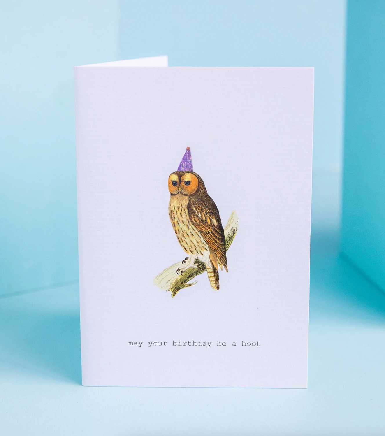 Birthday Hoot Greeting Card